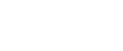 Nizam Logo
